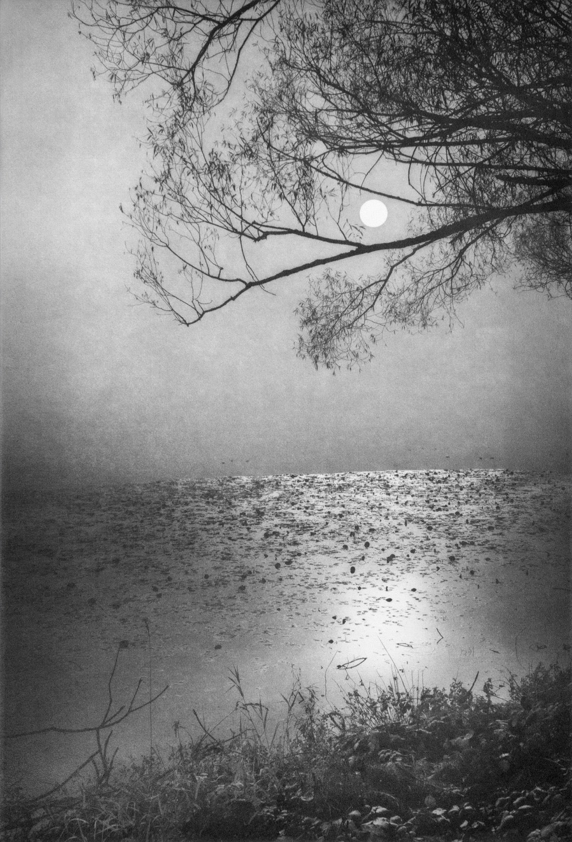Green Lake by David Whyte