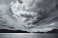 Marlborough Sound by David Whyte