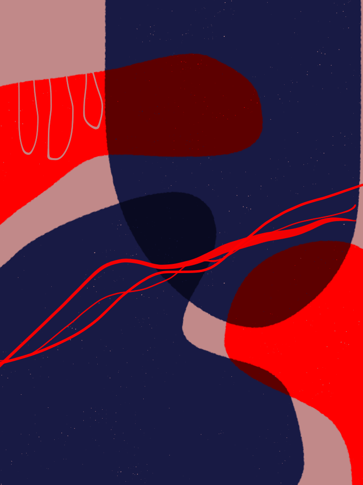 Form VI